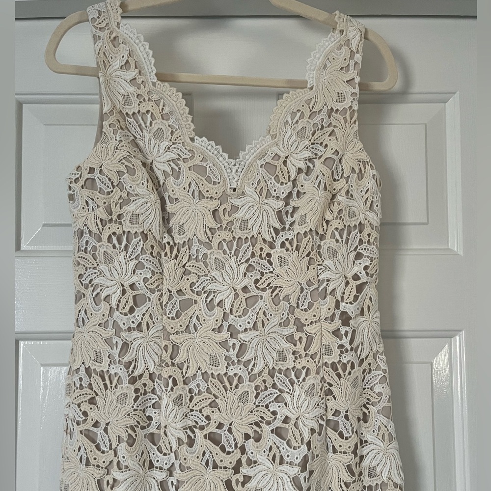 Ann Taylor Vintage Floral Lace Dress, size 2, Sand Castle - Picture 2 of 6